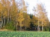 Herbst 2008